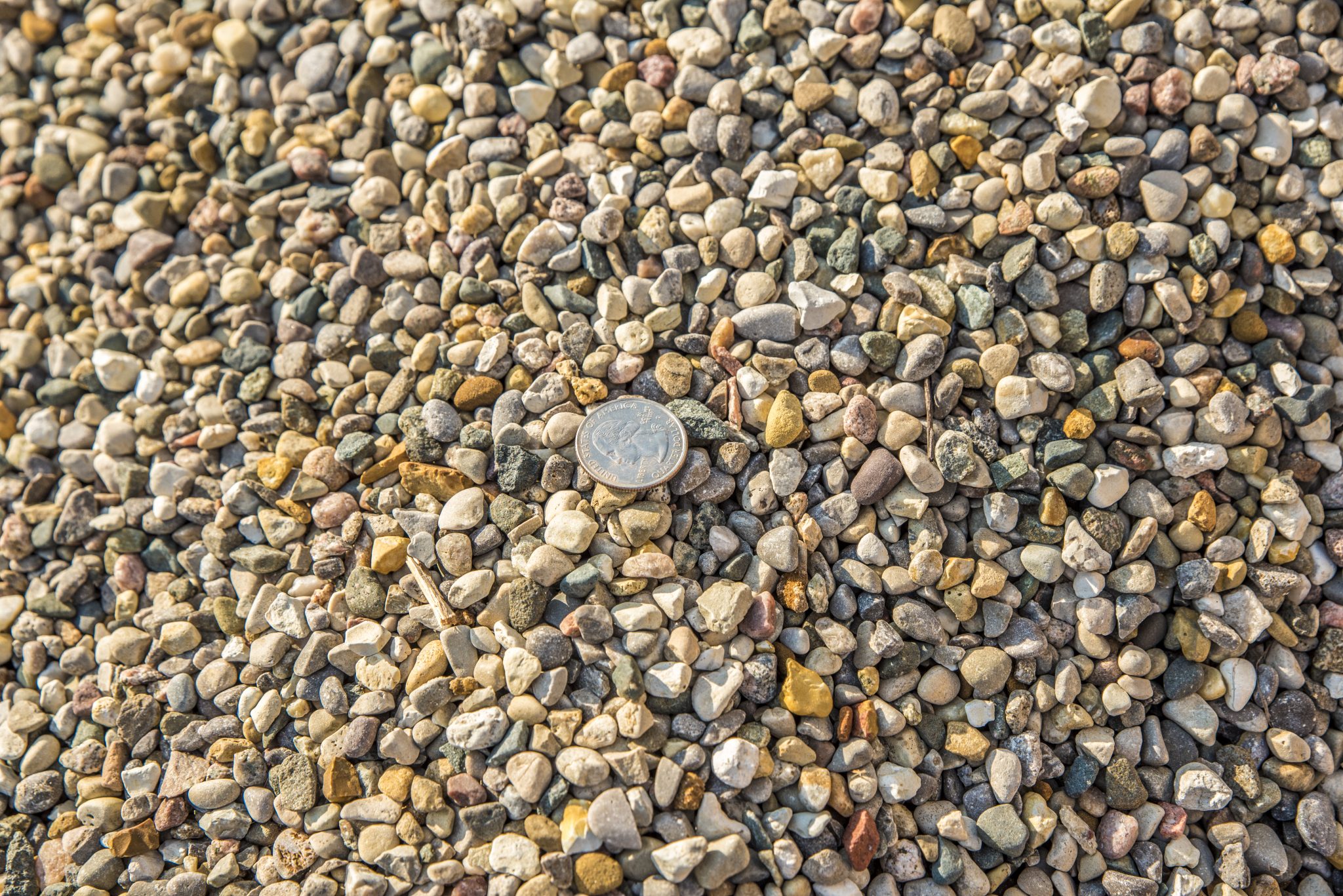 Pea Stone C&J Bark Inc